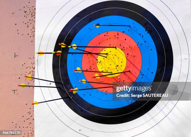 Flèches plantées dans une cible de tir à l'arc.