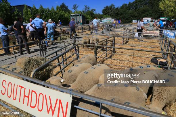 24ème foire aux béliers de Bussière-Poitevine, réunissant près de 400 bêtes, rendez-vous immanquable pour les professionnels de l?ovin avec des...
