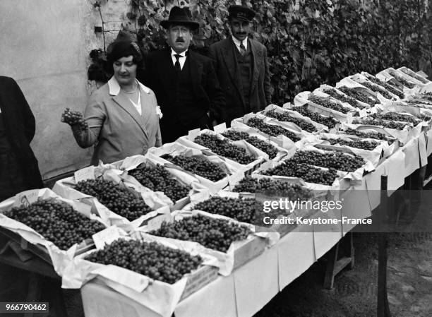 Mise aux enchères du célèbre raisin chasselas de la treille du Roy, à Fontainebleau, France le 30 août 1933.