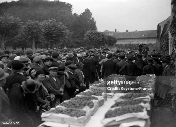 Vue de la traditionelle vente aux enchères du raisin chasselas de la Treille du Roy à Fontenaibleau, France le 18 septembre 1932.