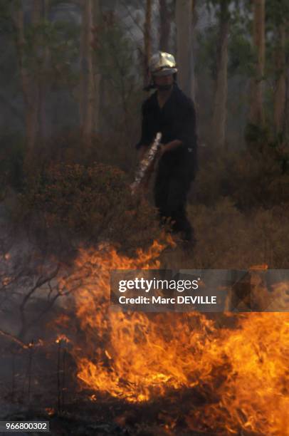 Pompier éteignant un feu de forêt le 25 août 1990 dans le Var en France.