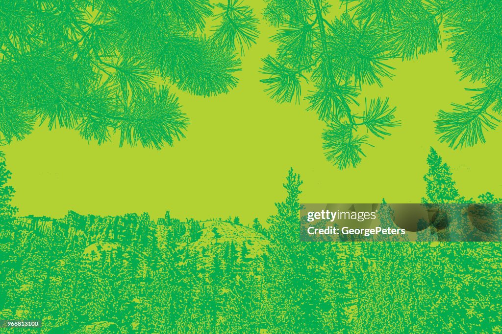 Bryce Canyon National Park and Ponderosa Pine needles background