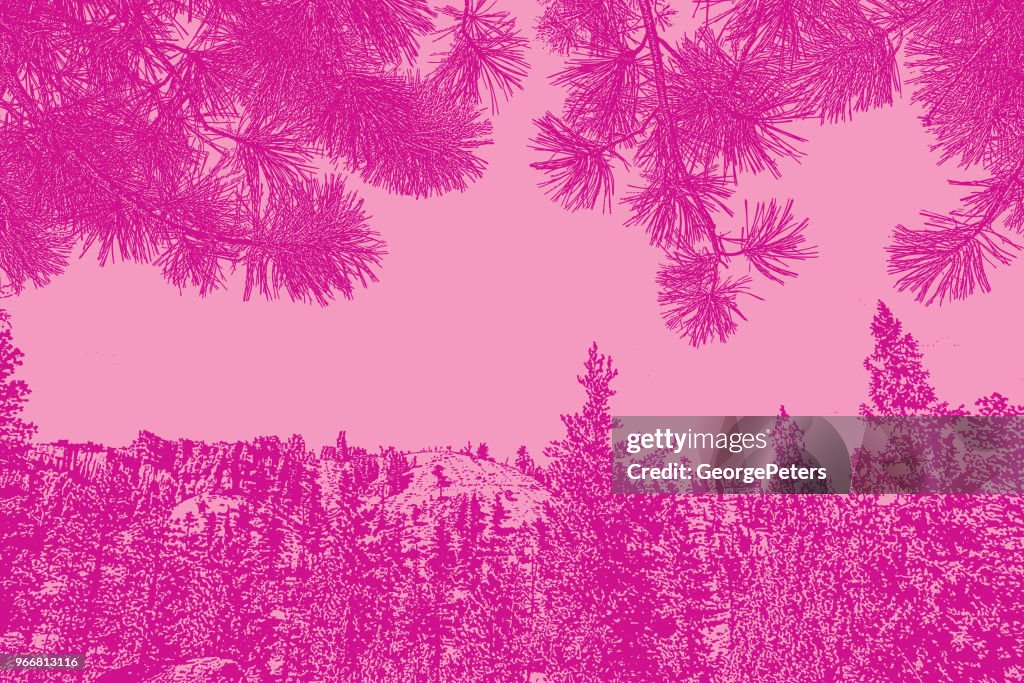 Bryce Canyon National Park and Ponderosa Pine needles background