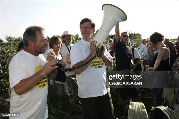 Les 300 Faucheurs Volontaires de la Croisade anti-OGM menee par Jose Bove ont casse des milliers de tiges de maïs commercial destine a Monsanto sur...