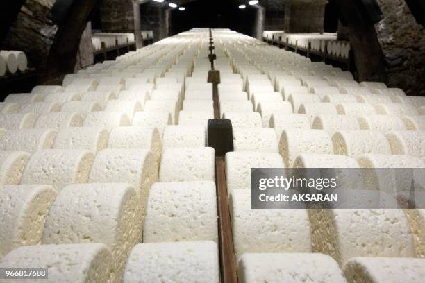 Inside the natural rocky cellars of Les Causses mountains where millions cheeses mature on May 20, 2013 at Roquefort-sur-Soulzon, southern France....