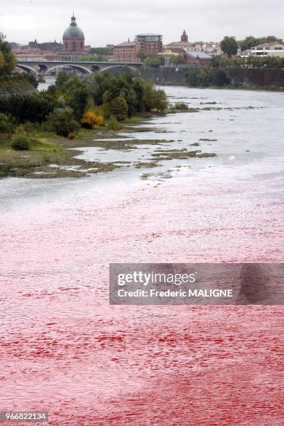 La societe EPTB a procede a des tests sur la garonne a Toulouse pour mesurer le taux de dilution et la vitesse de propagation de produits chimiques...