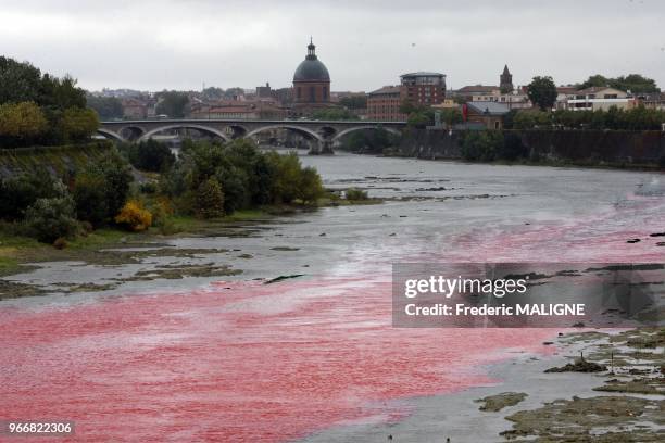 La societe EPTB a procede a des tests sur la garonne a Toulouse pour mesurer le taux de dilution et la vitesse de propagation de produits chimiques...