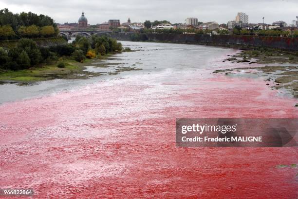 La societe EPTB a procede a des tests sur la garonne a Toulouse pour mesurer le taux de dilution et la vitesse de propagation de produits chimiques...