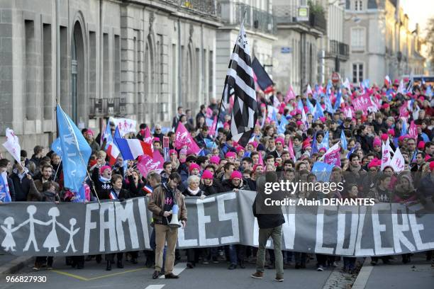 Manifestation regionale des opposants au mariage pour tous en presence de Ludovine de La Rochere, presidente nationale de La Manif Pour Tous, le 23...