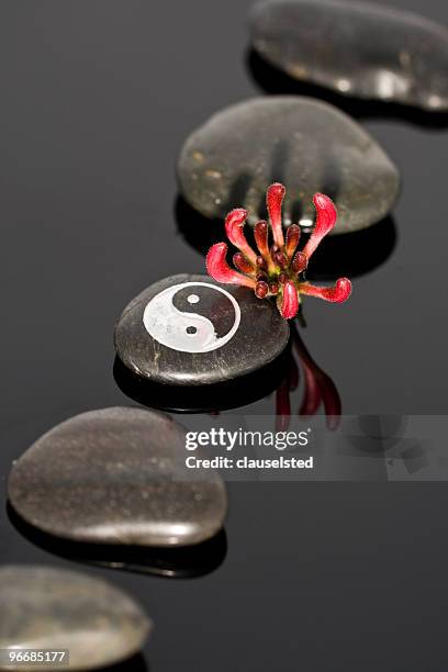 wellness stones - healthcare worker beauty in nature stock pictures, royalty-free photos & images