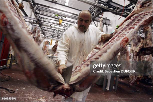 Le Pavillon de la viande de rungis a realise cette semaine 30% de vente en moins suite a l'arrivee de la grippe aviaire en Europe. Le Pavillon de la...