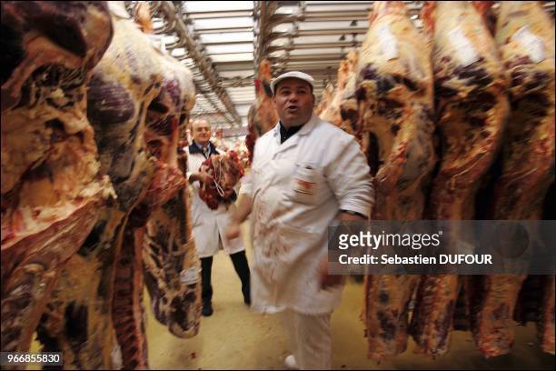 Le Pavillon de la viande de rungis a realise cette semaine 30% de vente en moins suite a l'arrivee de la grippe aviaire en Europe. Le Pavillon de la...