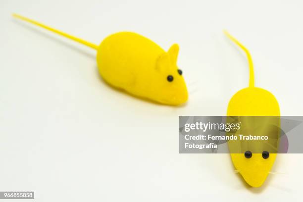 two toy mice - yellow rat stock pictures, royalty-free photos & images