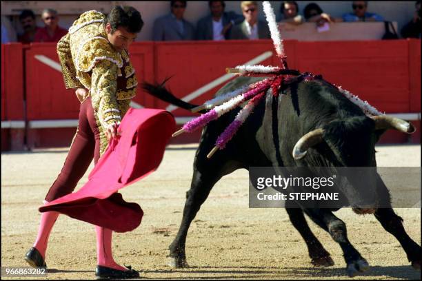 Bullfighter Enrique Ponce fights against a bull from the Juan Pedro Domecq ganaderia.