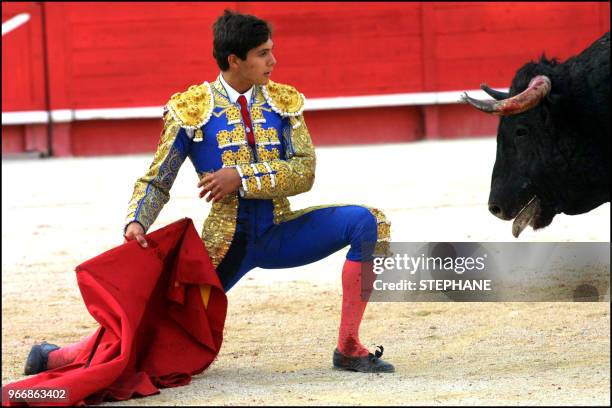 Bullfighter Sebastien Castella fights against a bull from the Juan Pedro Domecq ganaderia.