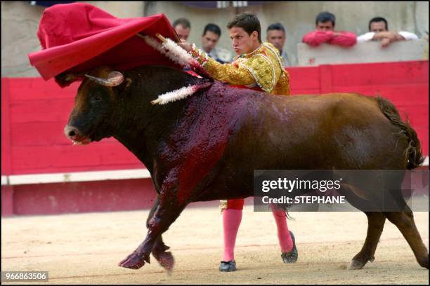 El Juli fights against a bull from the Domingo Hernandez ganaderia.