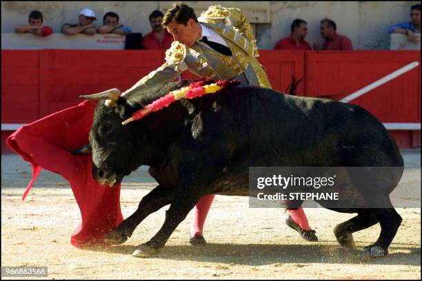 Bullfighter Eduardo Davila Miura fights against a bull from the Miura ganaderia.