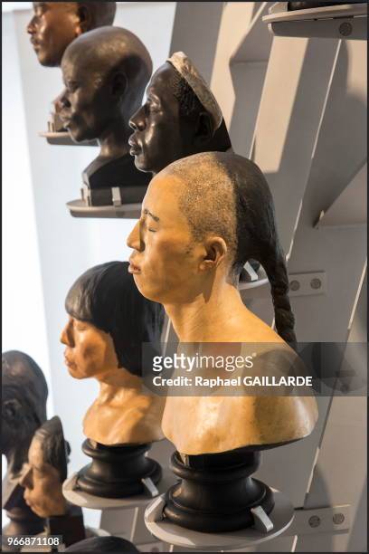 Grand portant en forme de portée de musique, 79 bustes de plâtre et 12 de bronze illustrent la diversité humaine, exposée au Musée de l'Homme, le 15...