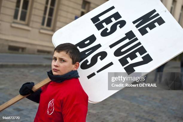 L'appel de diverses organisations catholiques de droite et d'extreme droite, 1700 personnes ont manifeste dans les rues de Lyon pour protester contre...