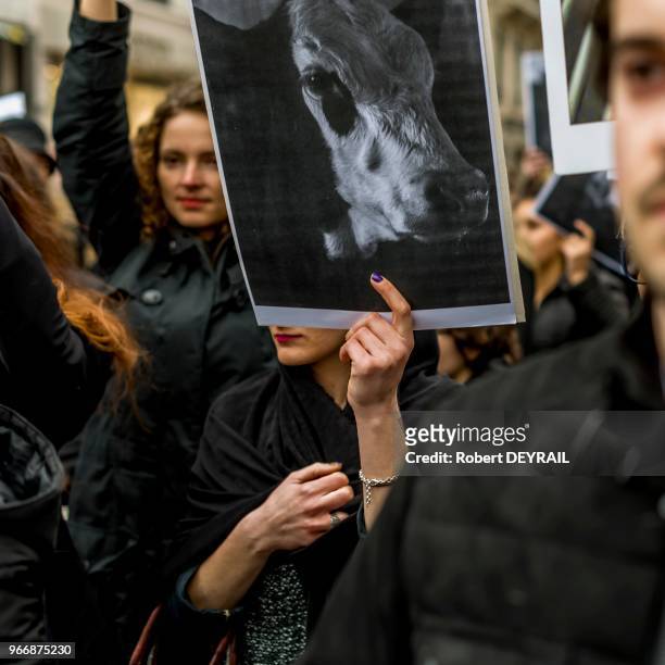 Pour rendre hommage aux animaux morts dans les abattoirs, une centaine de vegans vêtue de noir et portant chacun un portrait d'un animal, a défilé...