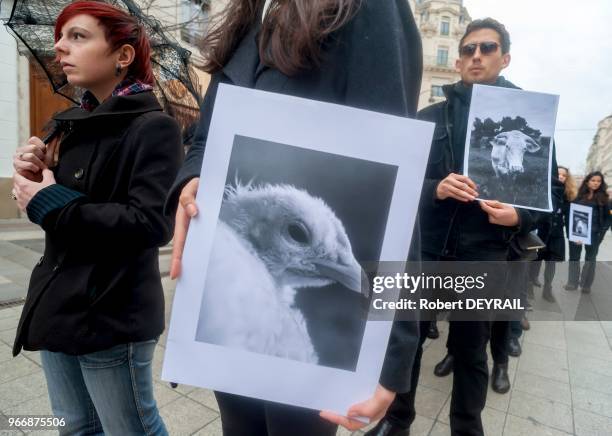 Pour rendre hommage aux animaux morts dans les abattoirs, une centaine de vegans vêtue de noir et portant chacun un portrait d'un animal, a défilé...