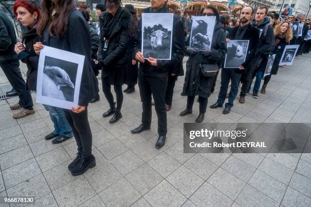 Pour rendre hommage aux animaux morts dans les abattoirs, une centaine de vegans vêtue de noir et portant chacun un portrait d'un animal, a défilé...