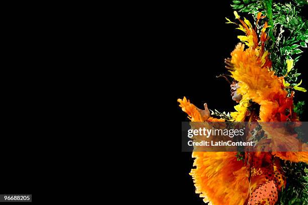 Members of Mocidade Alegre dance on a float during the samba school's parade during the second day of Sao Paulo's carnival on February 14, 2010 in...