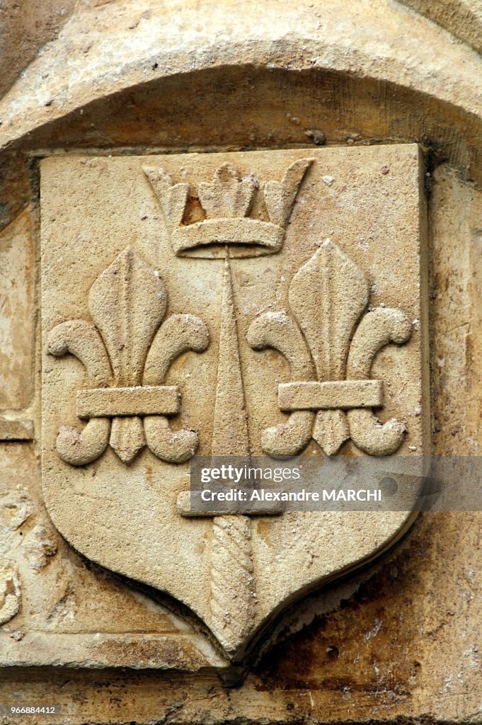 L'Affaire Jeanne d'Arc. Revelations sur l'un des plus grands secrets de la Pucelle de France.