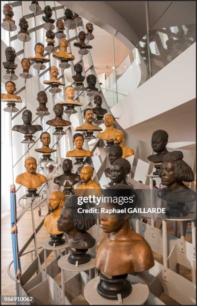 Grand portant en forme de portée de musique, 79 bustes de plâtre et 12 de bronze illustrent la diversité humaine, exposée au Musée de l'Homme, le 15...