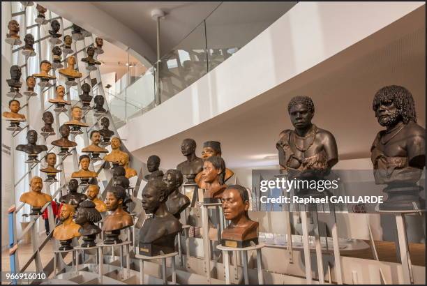 Grand portant en forme de portée de musique, 79 bustes de plâtre et 12 de bronze illustrent la diversité humaine, exposée au Musée de l'Homme, le 15...