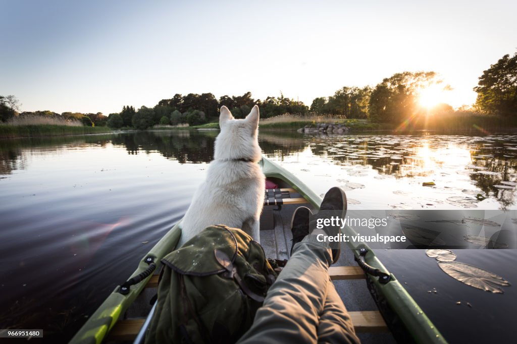 Hunden har kanot på en flod