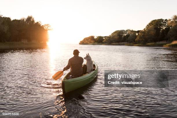 uomo e cane al tramonto con canoa - idyllic lake foto e immagini stock