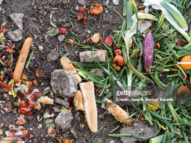 dump of organic garbages with remains of fruits and bread in decomposition. - waste wealth stock pictures, royalty-free photos & images