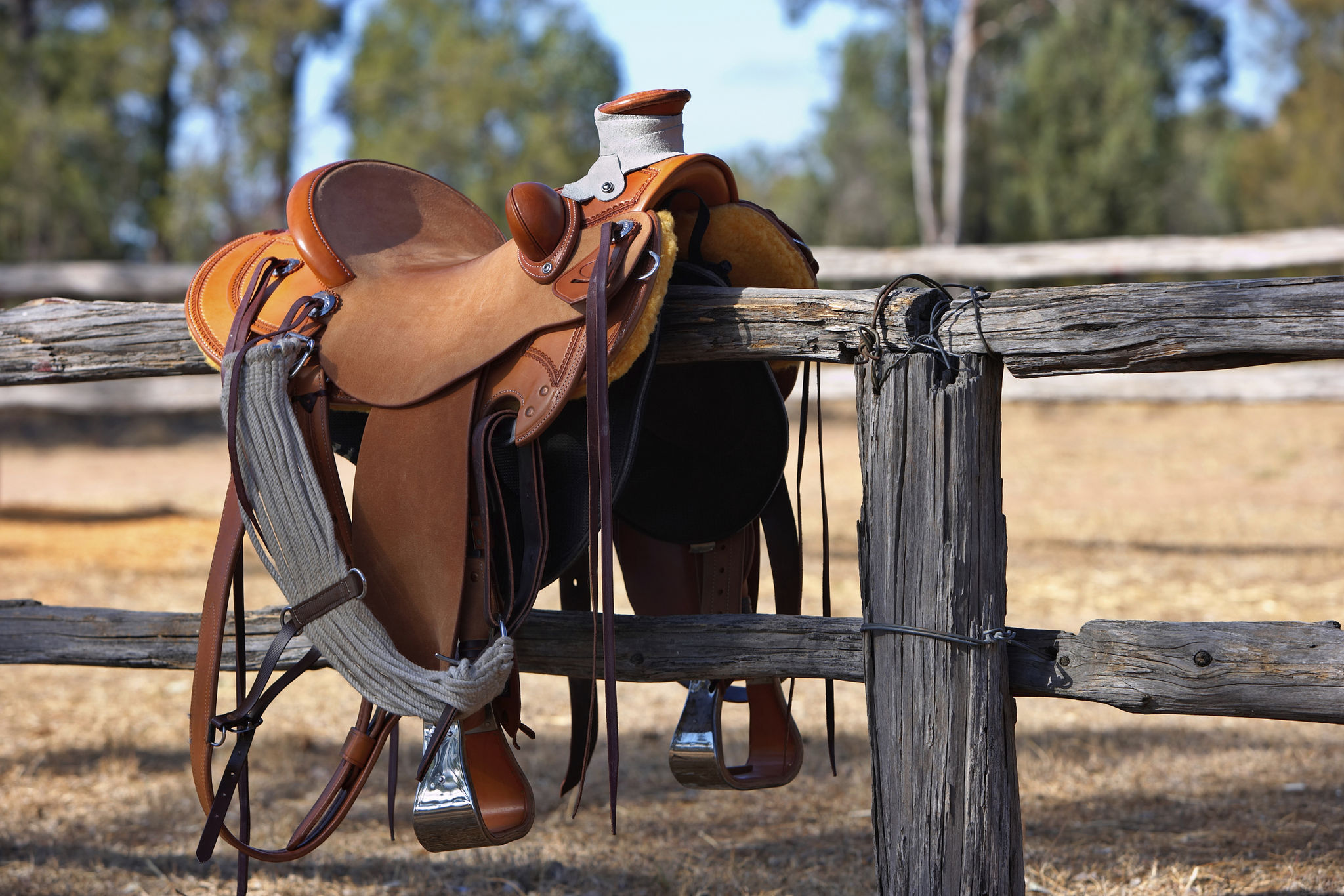 horse saddle customization