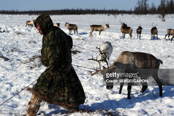Reindeer herders in the remote Yamalo-Nenets region of northern Russia on March 8, 2018.