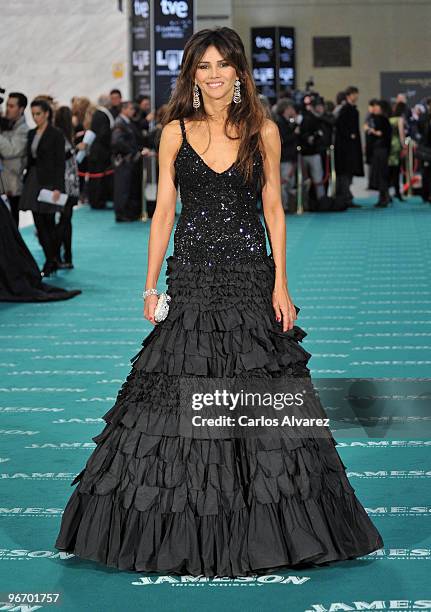 Spanish actress Goya Toledo attends Goya awards 2010 photocall at "Palacio de Congresos" on February 14, 2010 in Madrid, Spain.