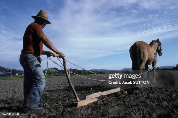 Un fermier labourant son champ à l'ouest de Santiago le 19 janvier 1984, Chili.