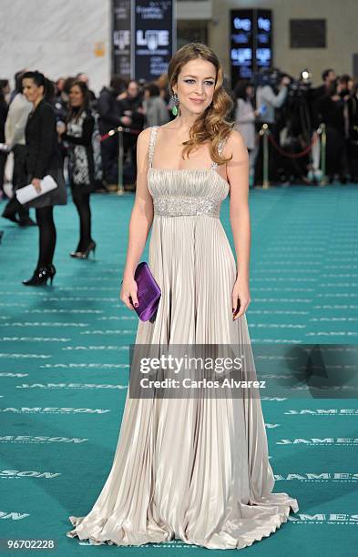 Spanish actress Silvia Abascal attends Goya awards 2010 photocall at "Palacio de Congresos" on February 14, 2010 in Madrid, Spain.