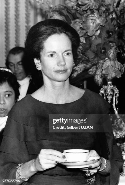 Madame Anne-Aymone Giscard d'Estaing, épouse de Valéry Giscard d'Estaing, président de la République, reçoit les femmes ambassadeurs à l'Elysée à...