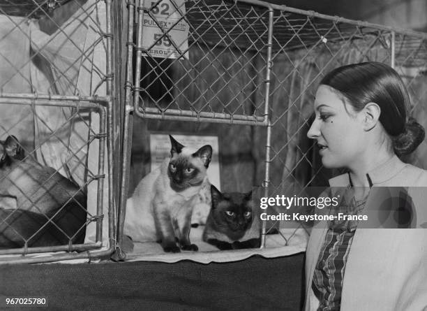 Une femme regarde de jolis chats siamois dans une cage qui sont présentés au Salon à la Porte de Versailles, à Paris, France le 16 juin 1934.