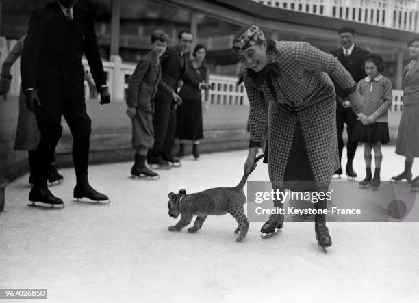 Un bébé tigre sur la patinoire de la piscine Molitor à Paris, France le 23 novembre 1933.