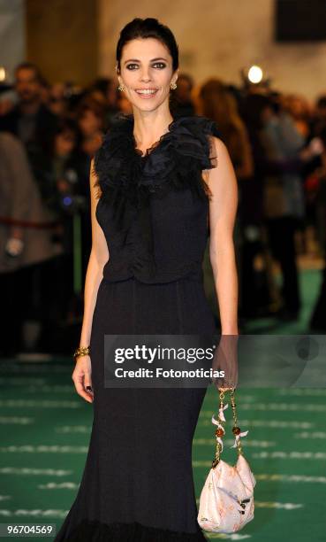 Maribel Verdu arrives to the 2010 edition of the 'Goya Cinema Awards' ceremony at the Palacio de Congresos on February 14, 2010 in Madrid, Spain.