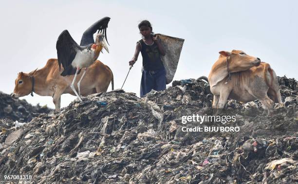 Indian Rag Pickers Ragpicker Photos and Premium High Res Pictures - Getty Images