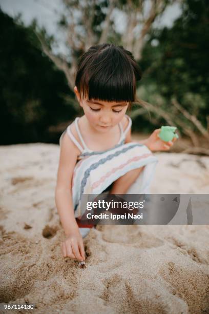 cute little girl catching hermit crab on beach - hermit crab stock pictures, royalty-free photos & images