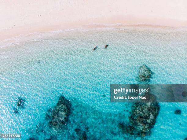 aerial view of people swimming in clear blue water of tropical beach, okinawa, japan - okinawa aerial stock pictures, royalty-free photos & images