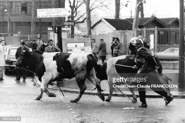 Dernière protestation des professionnels de la viande contre la fermeture des Abattoirs de la Villette le 14 mars 1974 à Paris, France.