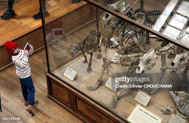 Galerie de paléontologie et d'anatomie comparée du Muséum d'histoire naturelle du jardin des plantes le 14 février, 2014 à Paris, France.