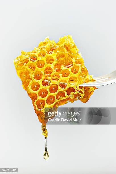honey comb on a fork - miel photos et images de collection