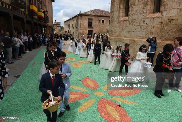 Boys and girls wearing white dress from the communion stand around a sawdust carpet during a procession for the Corpus Christi feast in 'El Burgo de...