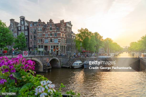 flowers on a bridge in amsterdam, holland - amsterdam sunrise stockfoto's en -beelden